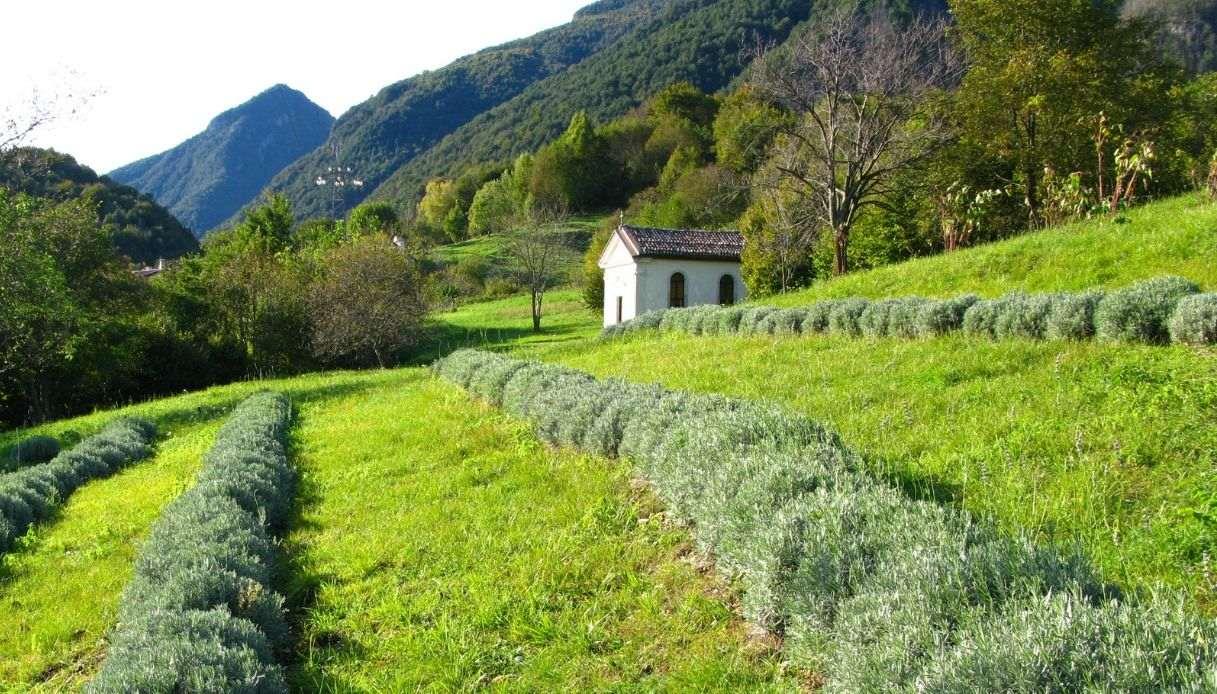 stavoli friuli